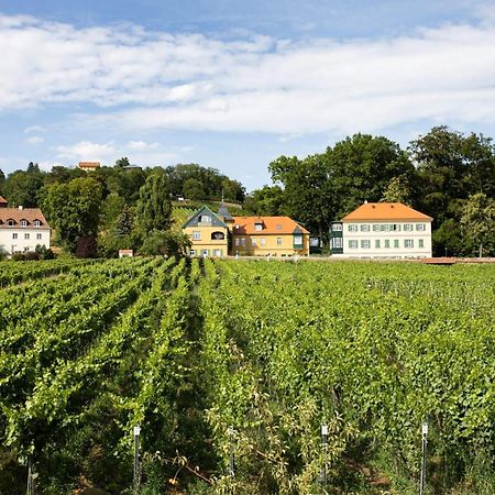 Weingut Haus Steinbach Radebeul Exterior foto