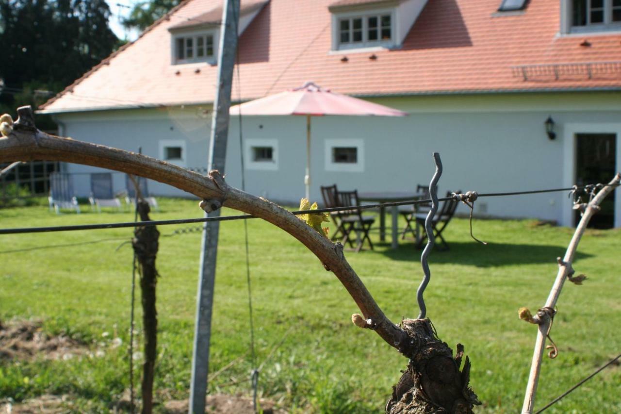 Weingut Haus Steinbach Radebeul Exterior foto